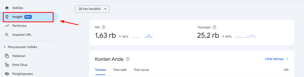 fitur baru google search insight